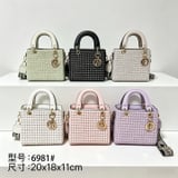 coesmetic bag