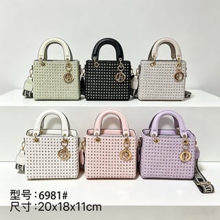 Dior handbag princess bag 6981