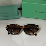 Tiffany 131000920 Flat Glass Model 10009