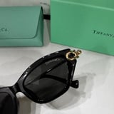 Tiffany 131000920 Flat Glass Model 10009