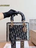 Dior Embroidered Princess Bag with box