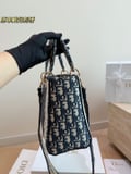 Dior Embroidered Princess Bag with box