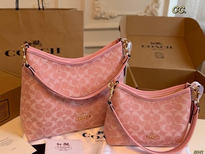 Coach Laurel Hobo Bag with box