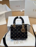 Dai Fei Bao Dior Lady Dior Butterfly Limited Edition
