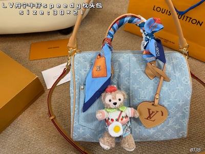 Louis Vuitton Denim Speedy Pillowcase With Box