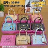 3010 coach bag
