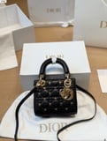Dai Fei Bao Dior Lady Dior Butterfly Limited Edition