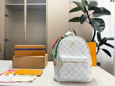 Louis Vuitton Backpack