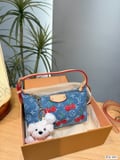 Louis Vuitton Denim Lunch Bag with box