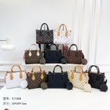 F1105 Louis Vuitton handbag