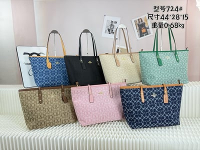 Model 724Coach bag