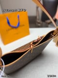 Louis Vuitton Carryall armpit bag with box