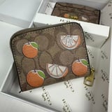 JBXL-881COACH SET