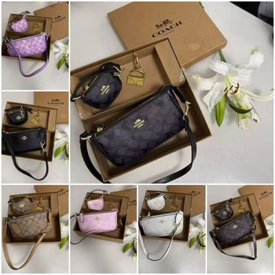 coach bag set