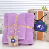 Cross-border foreign trade trendy bath towel two-piece set coral velvet towel household quick-drying water-absorbent color-resistant beach towel wholesale