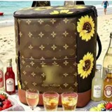 Louis Vuitton foreign trade new spot ice bag backpack picnic bag cross-border beer ice bag outdoor camping insulated backpack