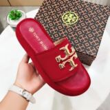 TB Fashion All-Match Thick Sole Flip Flops Women's Outerwear Summer 2023 New Fashion Women's Summer Flip Flops