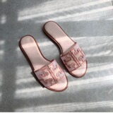 TB Cross-border foreign trade net red sandals women's outer wear trendy all-match mesh flip-flops slippers women's outer wear beach shoes