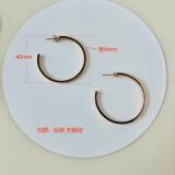 Cartier Large Circle Earrings Stainless Steel Full Nail Earrings Light Luxury Pair with Popular Earrings Accessories