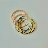 Cartier Large Circle Earrings Stainless Steel Full Nail Earrings Light Luxury Pair with Popular Earrings Accessories