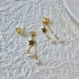 Dior Stainless Steel Pig Nose Earrings Pearl Star Fringe Stud Earrings Big Brand Colorless Earrings
